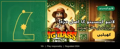 لاگ ان کریں اور بونس حاصل کریں